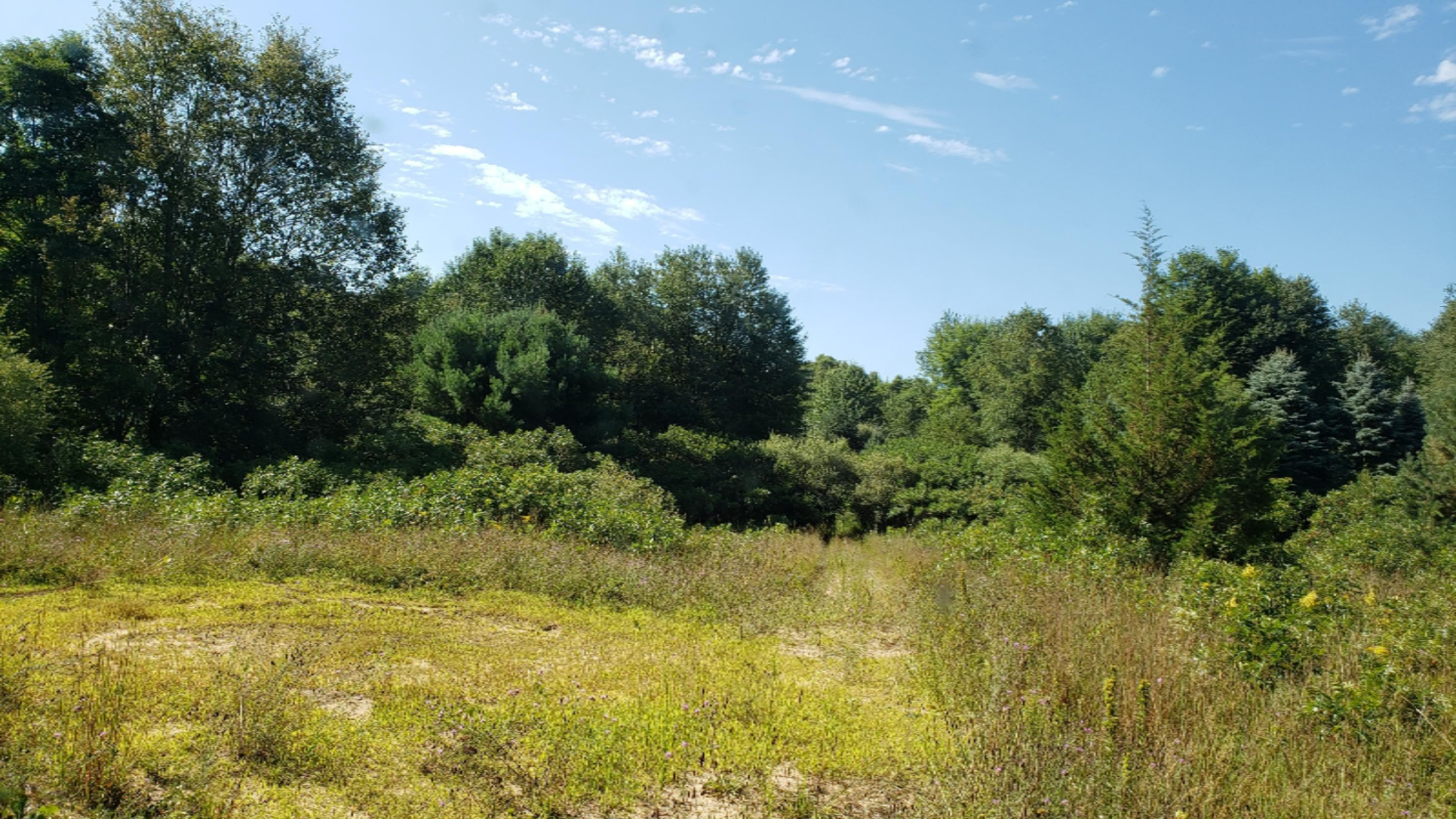 11640 Davis Road Middleville, MI 49333 - Photo 20 of 24 20200806_103719