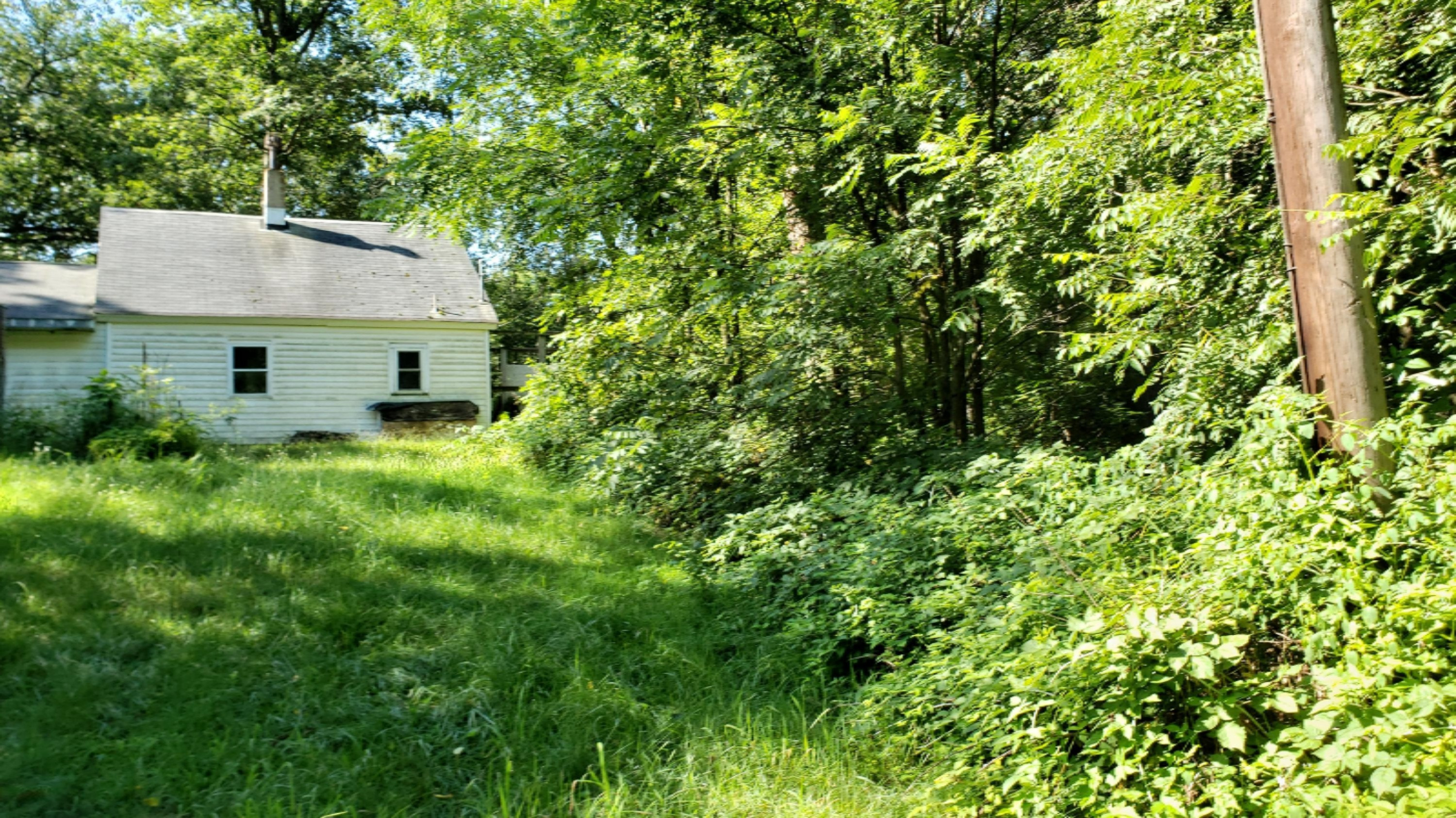 11640 Davis Road Middleville, MI 49333 - Photo 23 of 24 20200806_103948
