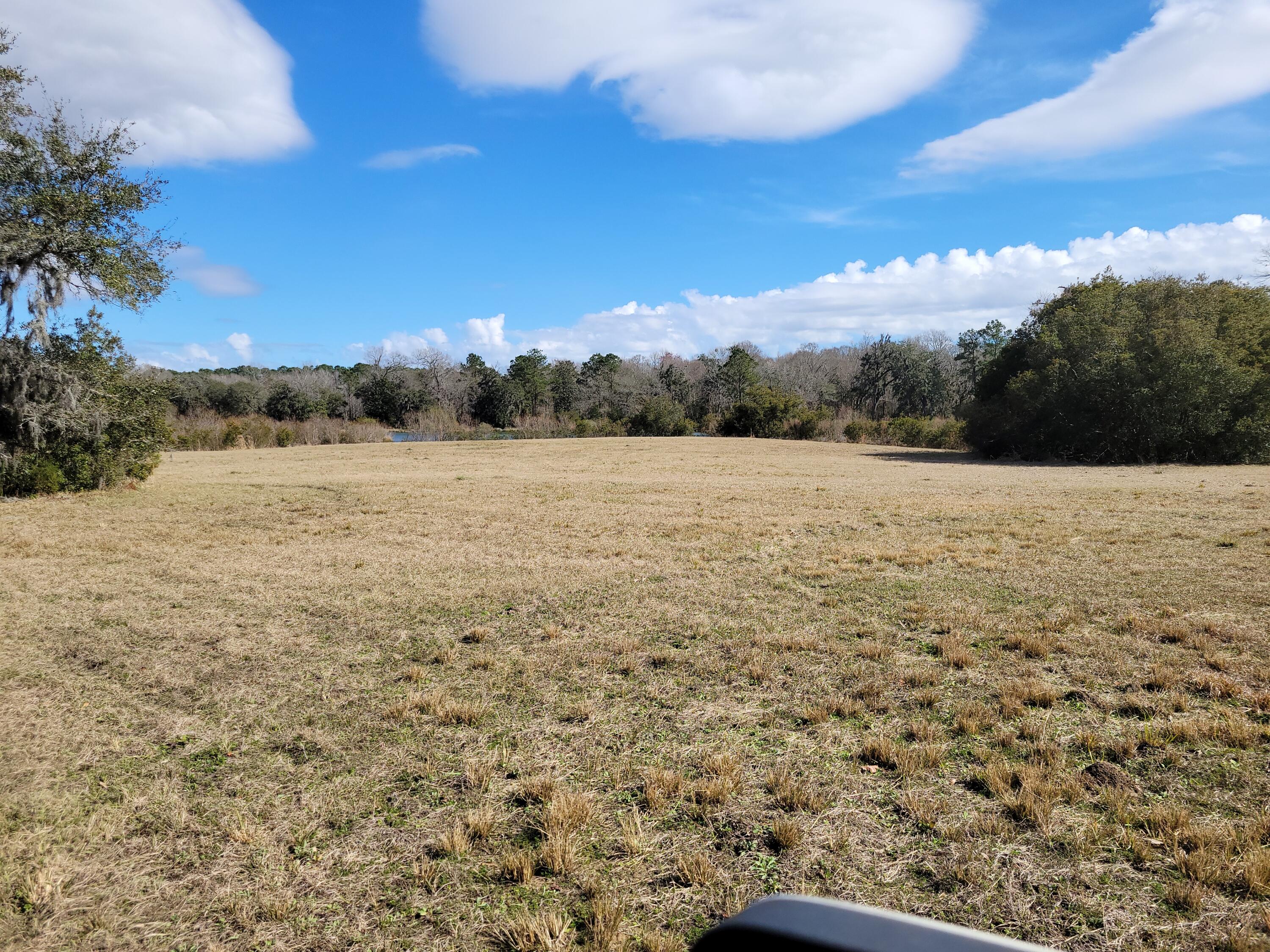 4183 Chisolm Road Johns Island, SC 29455 - Photo 5 of 17 20240215_140625
