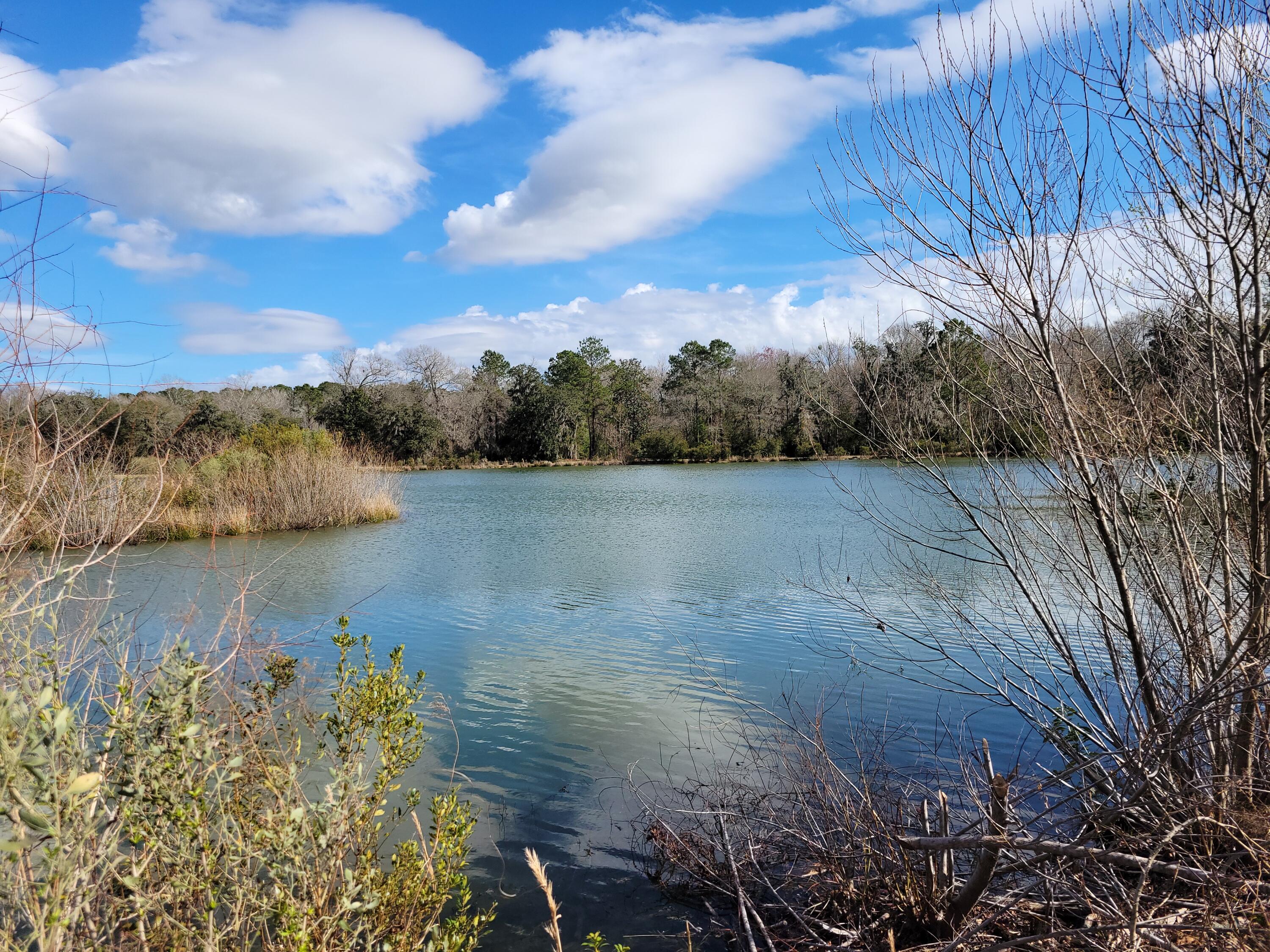 4183 Chisolm Road Johns Island, SC 29455 - Photo 8 of 17 20240215_141344