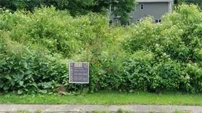 a view of a back yard