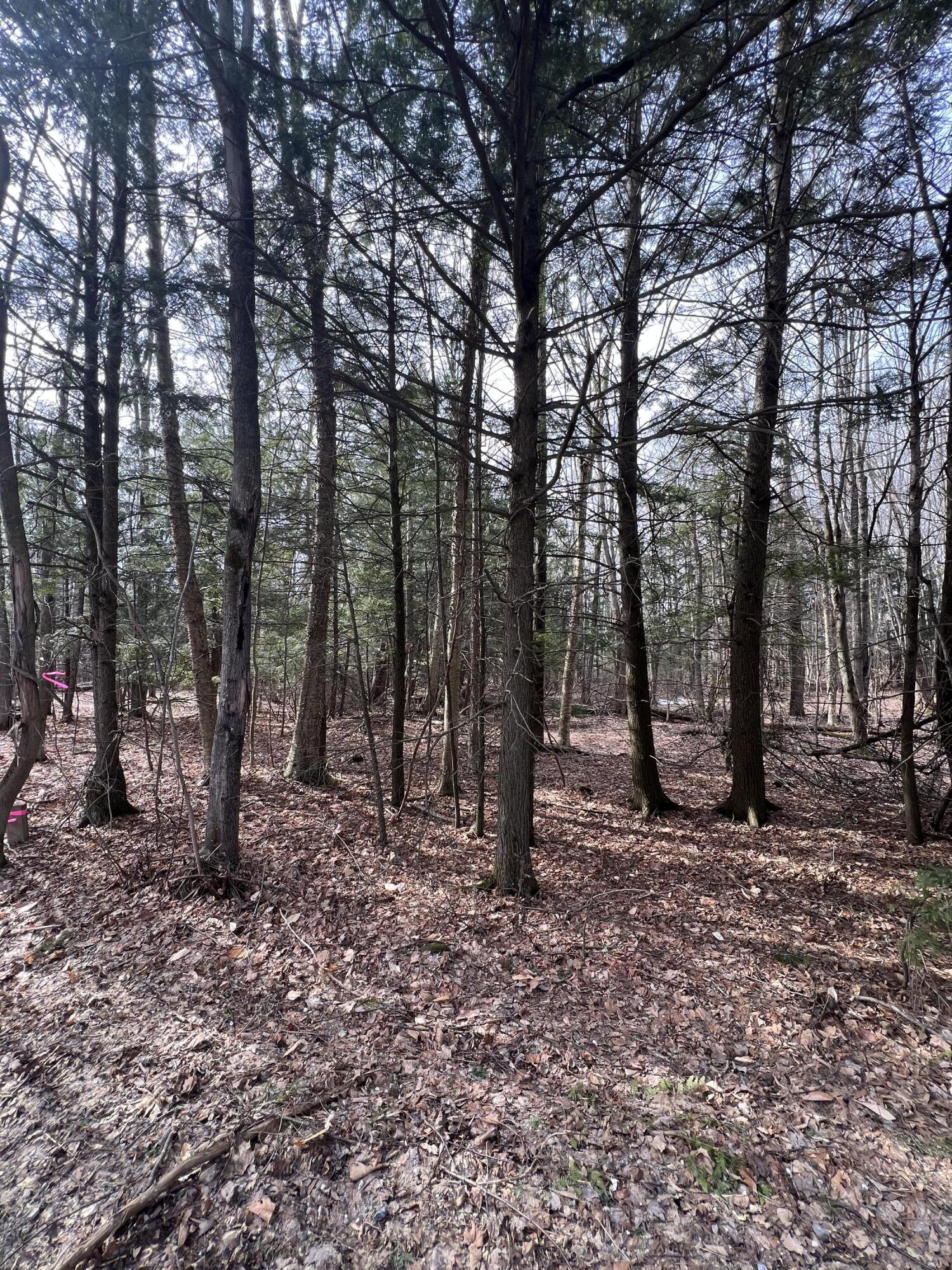 Lot # Commons Road Chateaugay, NY 12920 - Photo 2 of 5 IMG_9393