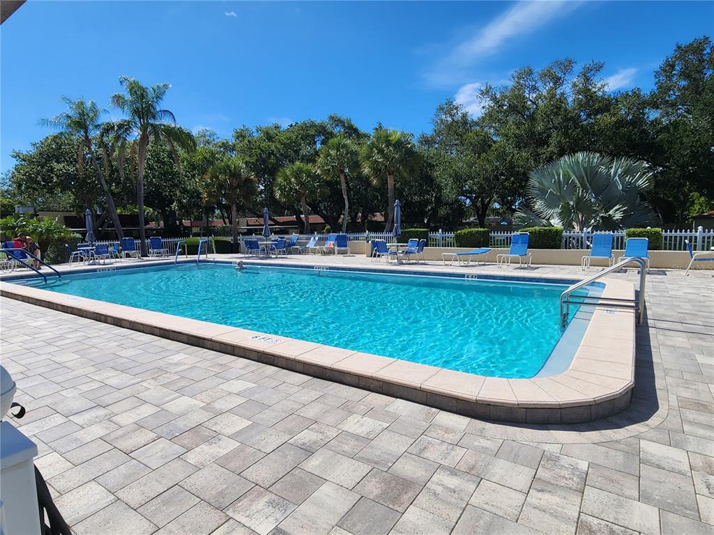 1701 Pinehurst Road, Unit 34D Dunedin, FL 34698 - Photo 19 of 19
