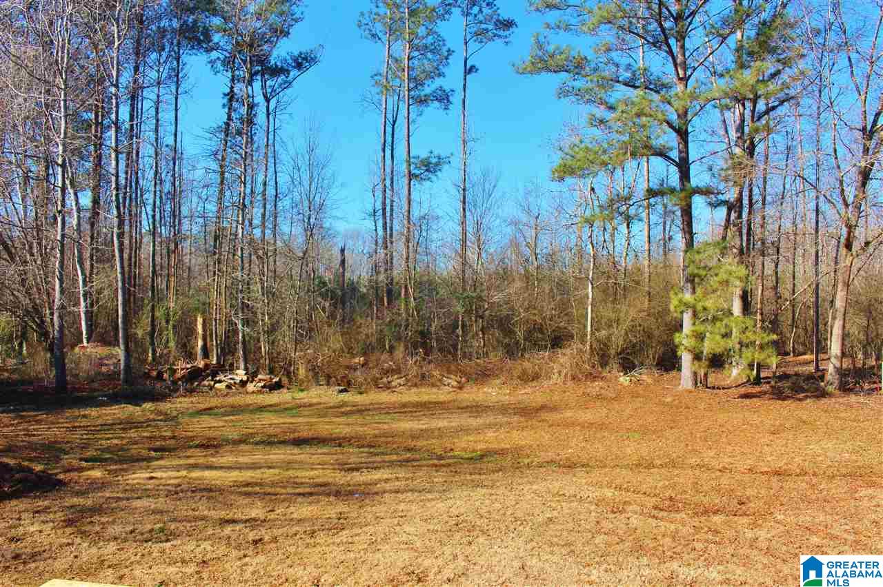 1448 Lake Joyce Road Moody, AL 35004 - Photo 33 of 37