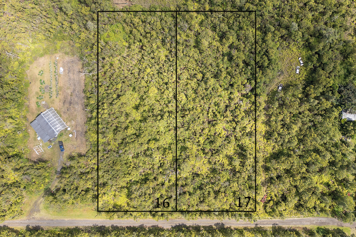 a bathroom with a shower curtain