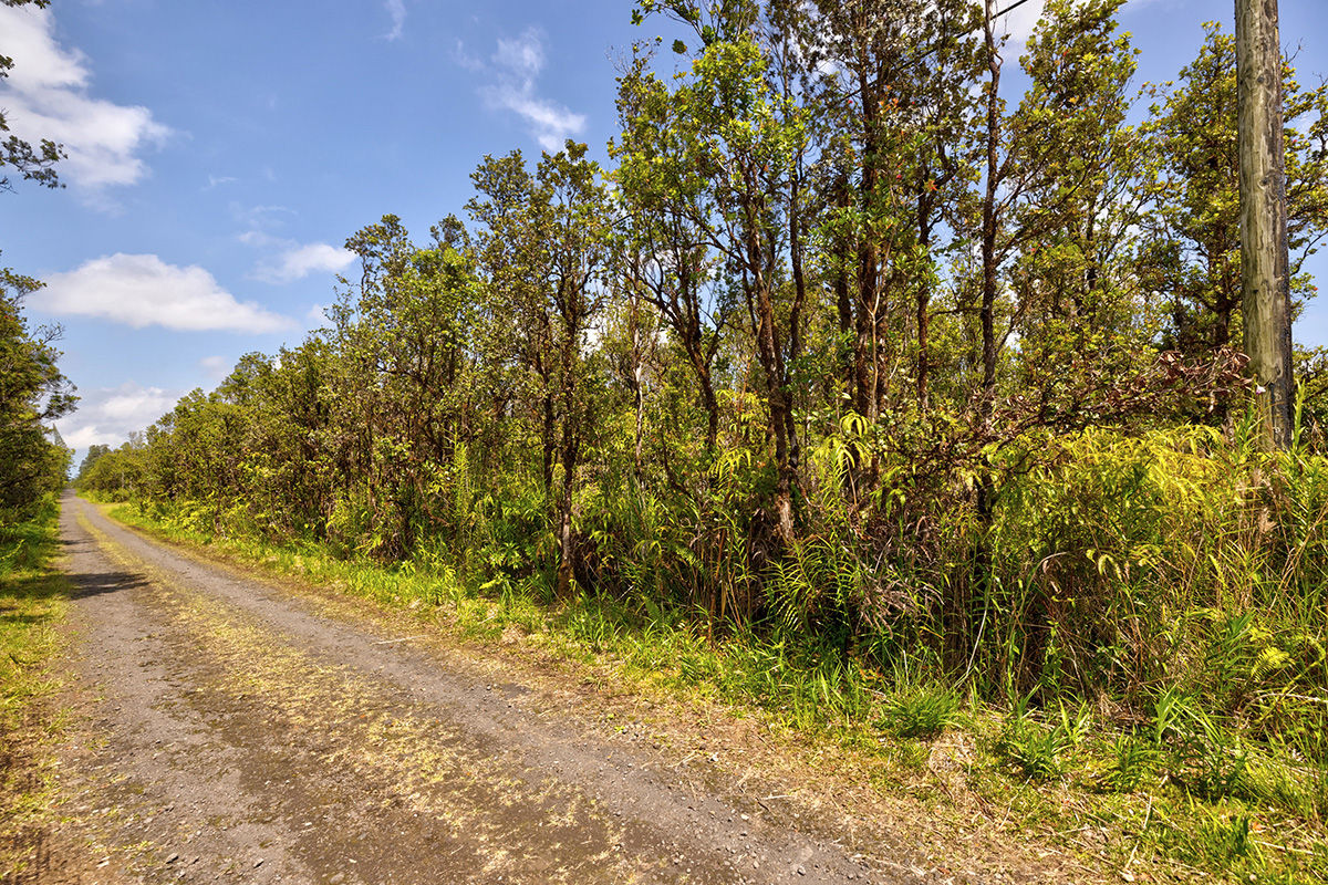 31 Alapua Street Pahoa, HI 96778 - Photo 2 of 7 a view of a yard with an trees