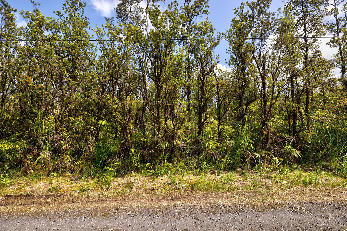 31 Alapua Street Pahoa, HI 96778 - Photo 3 of 7 a view of a yard