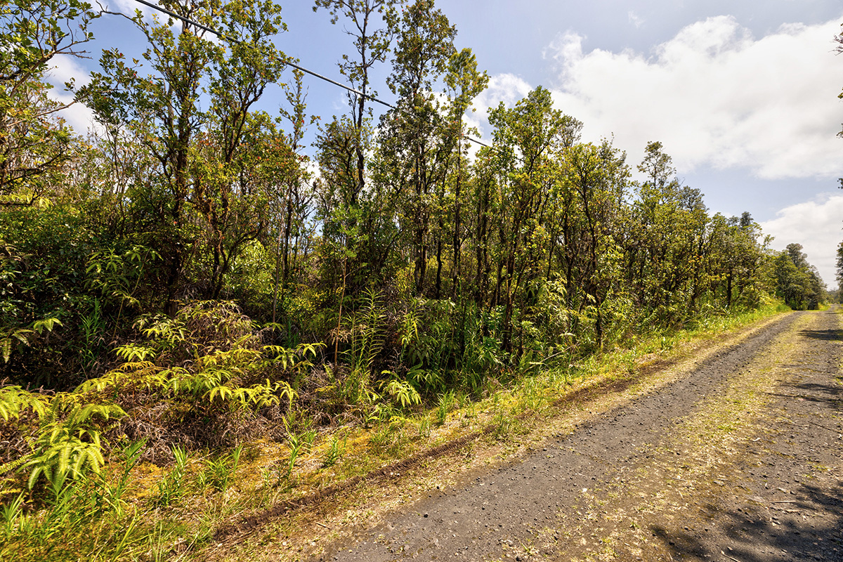 31 Alapua Street Pahoa, HI 96778 - Photo 4 of 7 a view of a yard with a tree