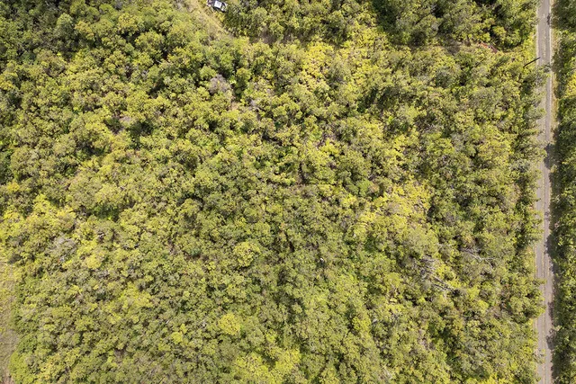 $35,000 | 31 Alapua Street, Pahoa, HI 96778