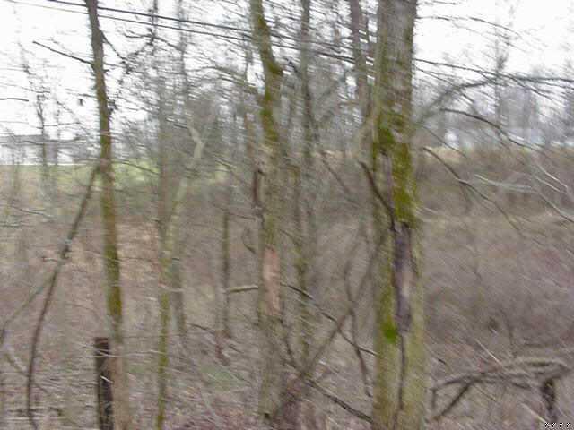 L7 Country Club Ridge Spencer, IN 47460 - Photo 1 of 1