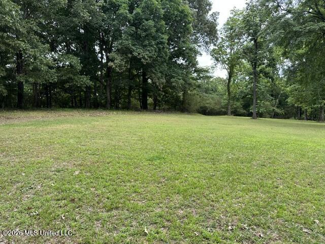 9210 Highway 315 Como, MS 38619 - Photo 7 of 10 IMG_2789