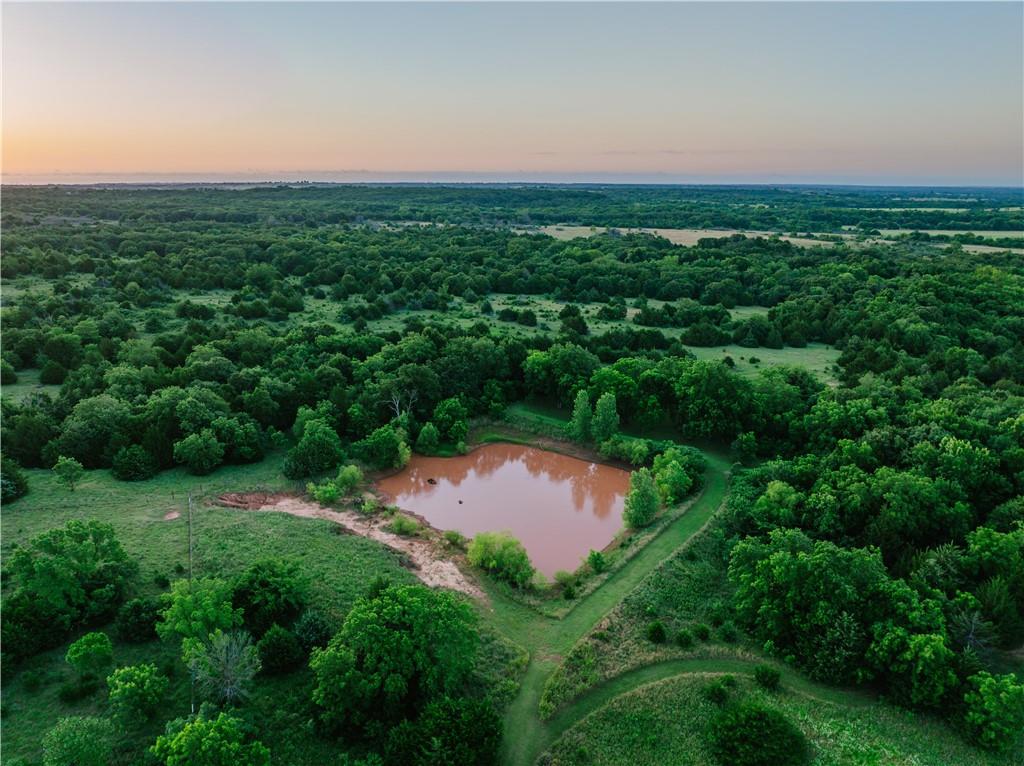 42629 South 34200 Road Pawnee, OK 74058 - Photo 58 of 99