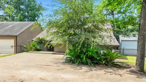 a view of a backyard with plants and large trees