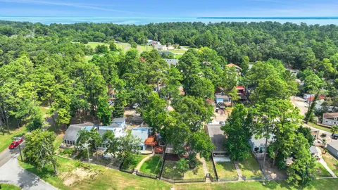 a view of a lush green forest with lawn chairs and plants