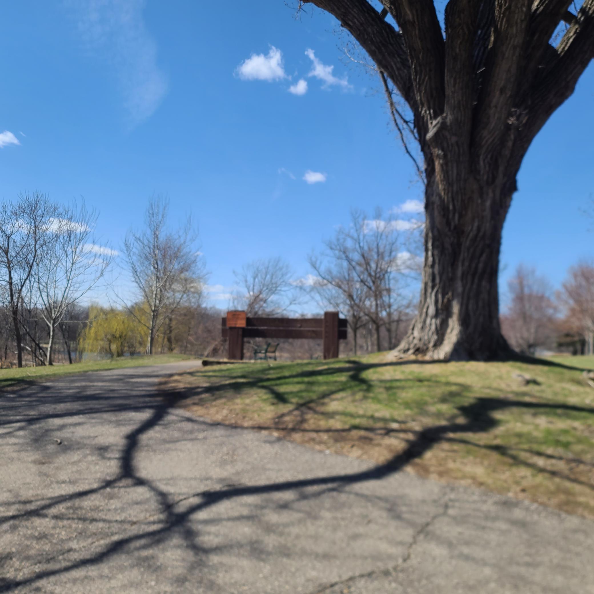 1104 Mackubin Street St. Paul, MN 55117 - Photo 4 of 7