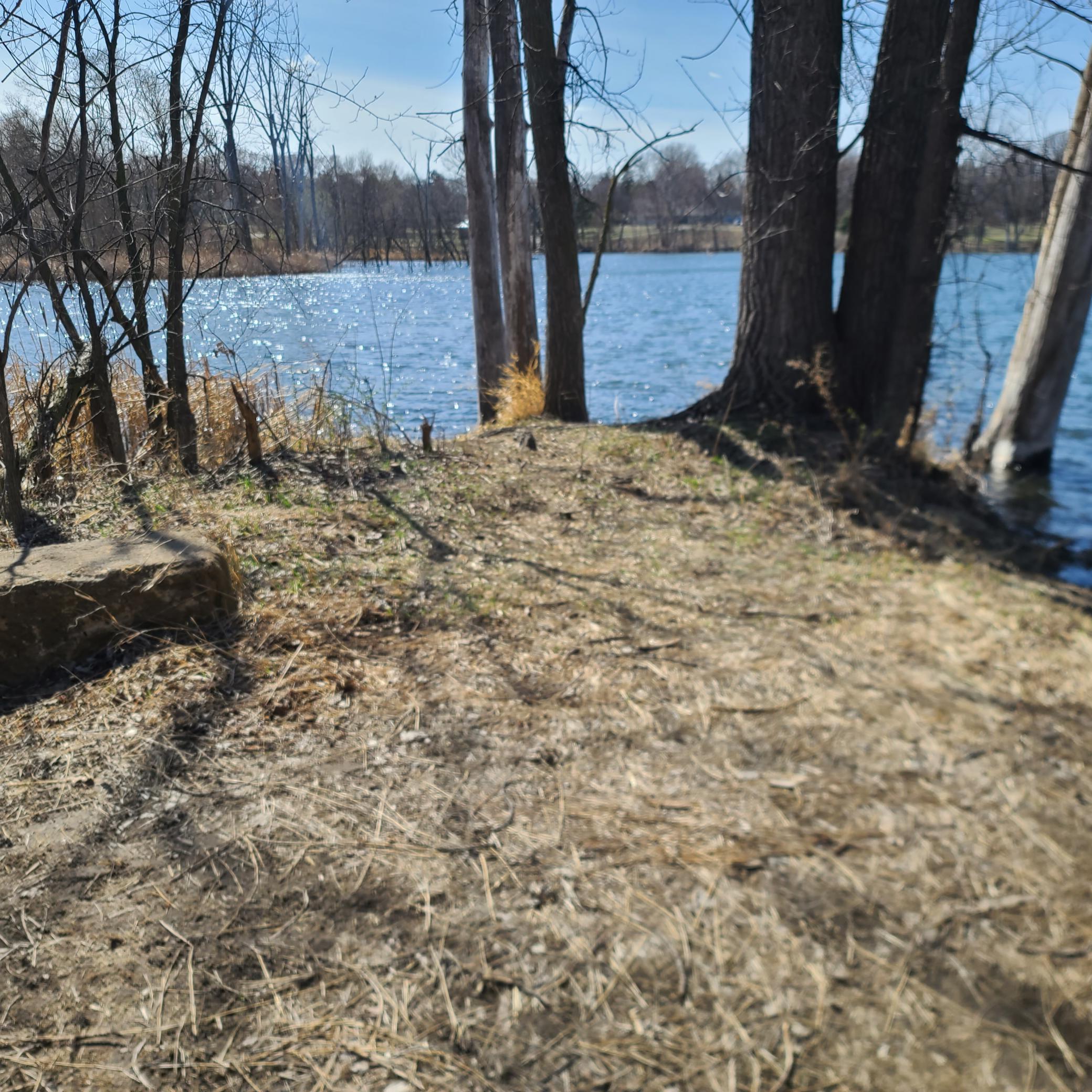 1104 Mackubin Street St. Paul, MN 55117 - Photo 6 of 7