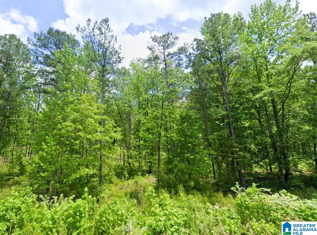 Renfroe Road Alpine, AL 35014 - Photo 4 of 14