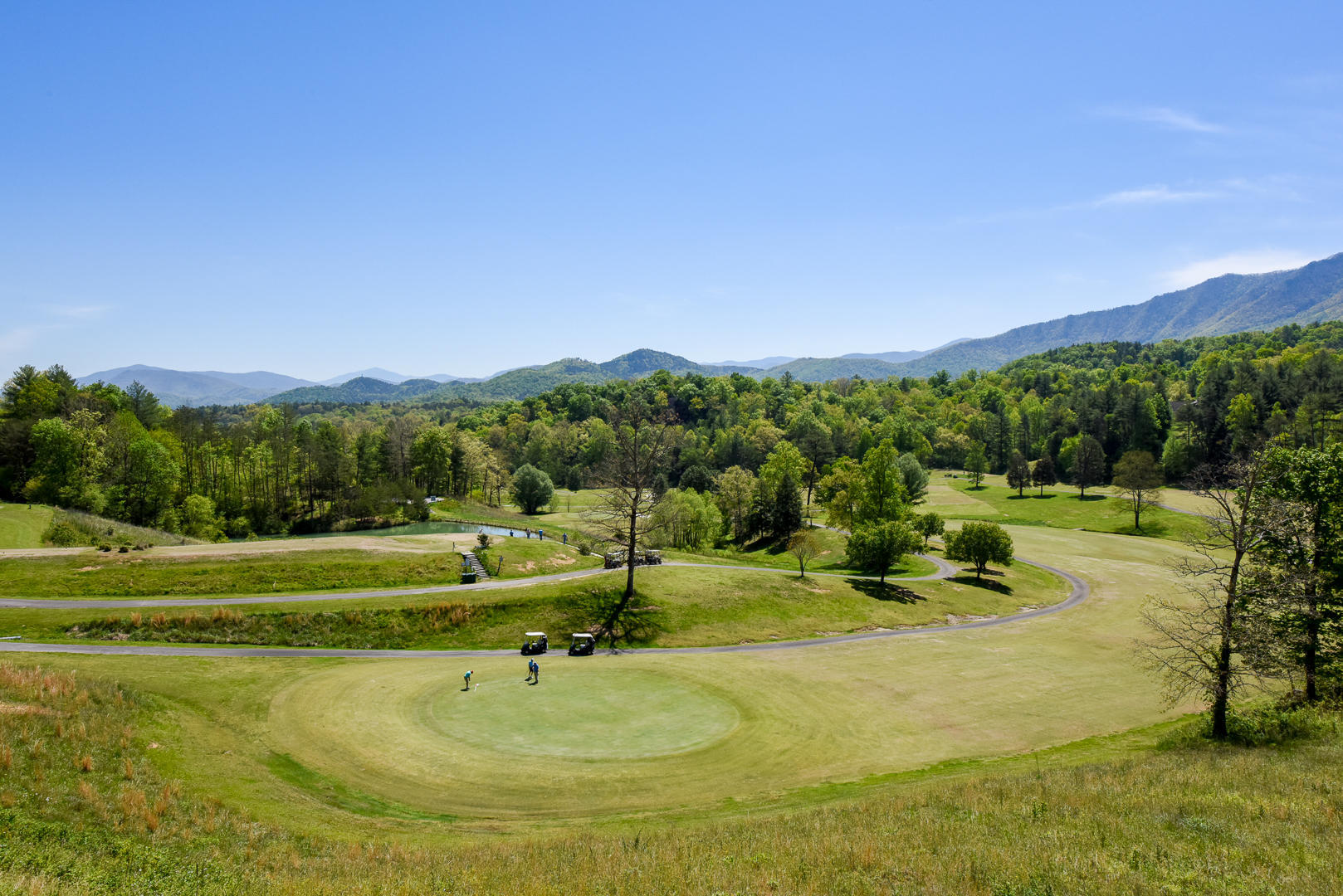 260 High Springs Trail Road Townsend, TN 37882 - Photo 12 of 18 12