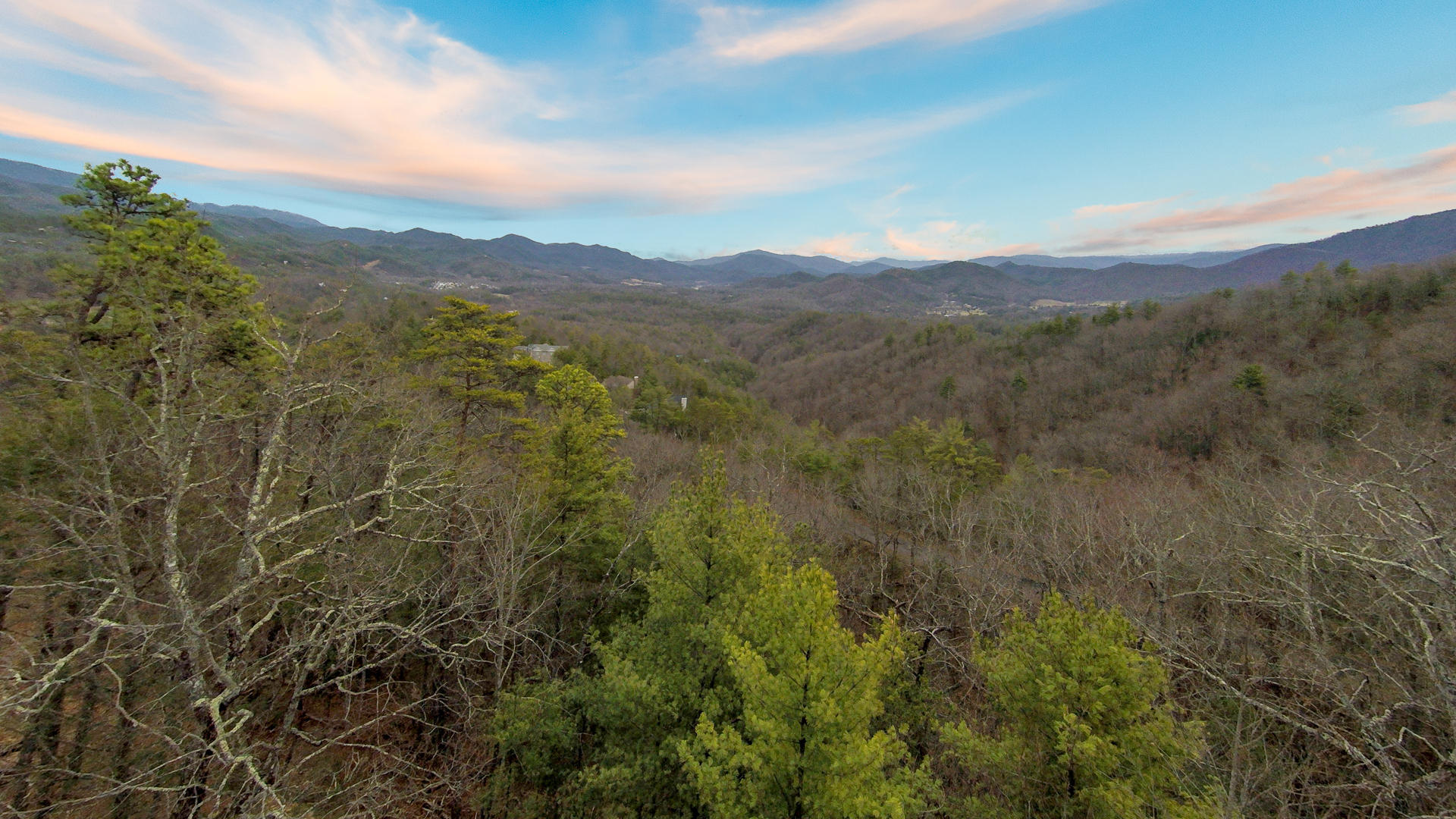 260 High Springs Trail Road Townsend, TN 37882 - Photo 3 of 18 3
