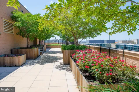 a view of a backyard with potted plants and large trees