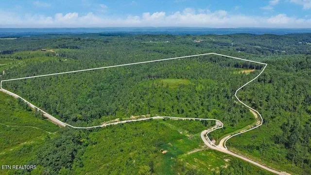 a view of a yard with a garden