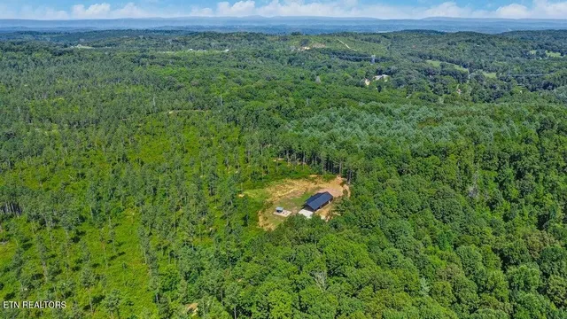 a backyard of a house with a yard and potted plants