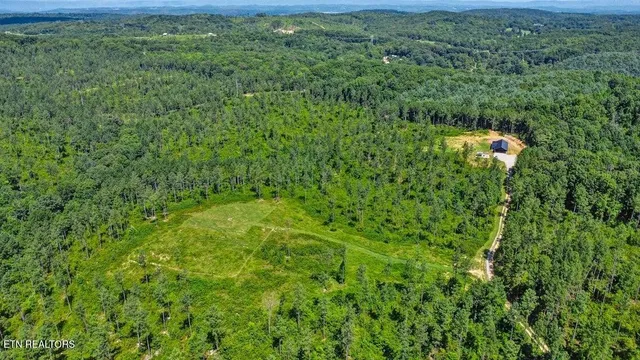 a view of a lush green forest with lots of trees