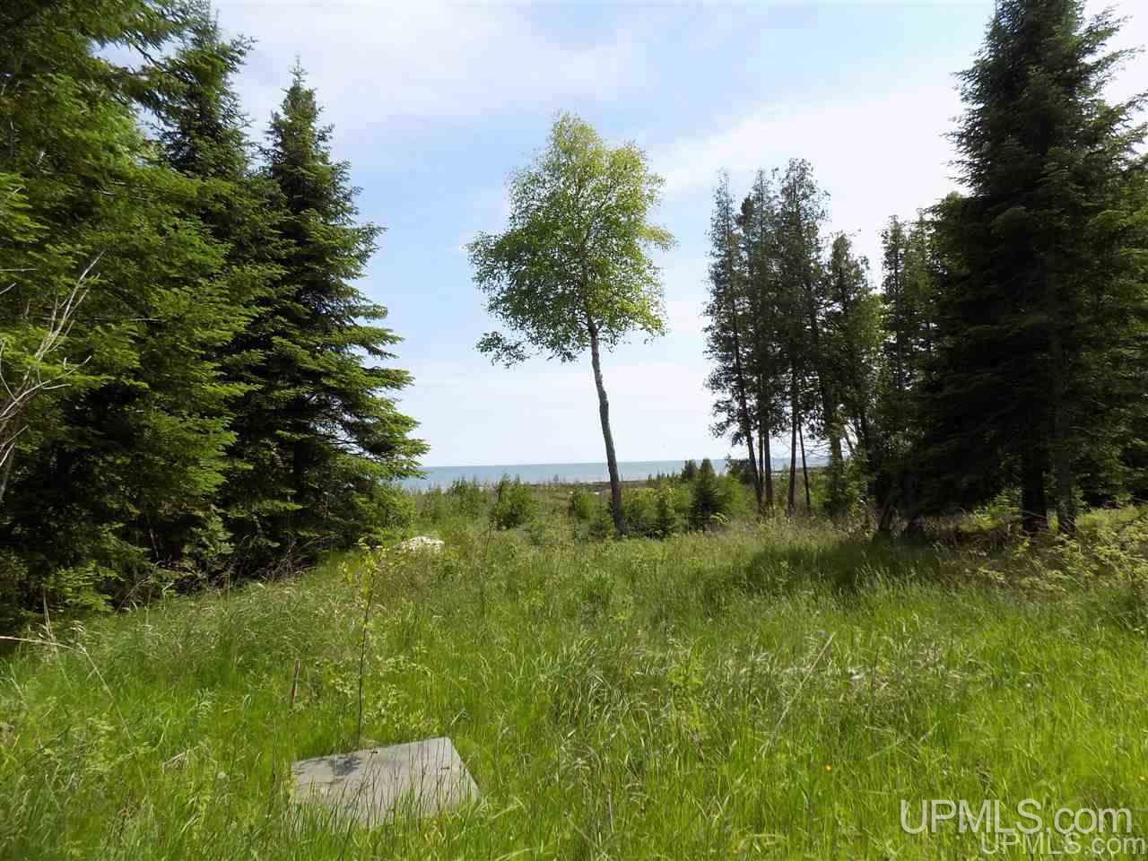 Tbd Miller Point Road Manistique, MI 49854 - Photo 3 of 18