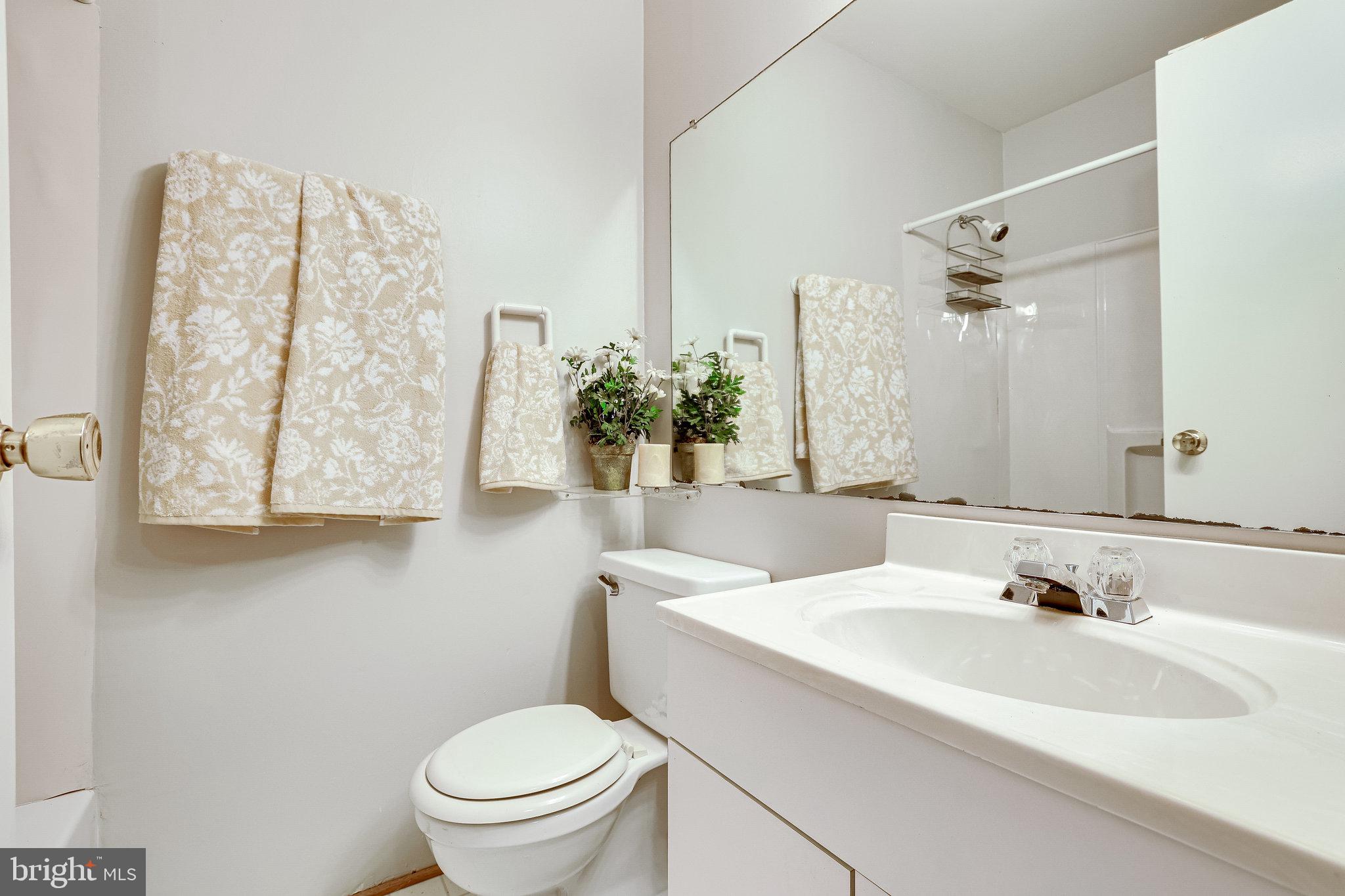 11969 Barrel Cooper Court Reston, VA 20191 - Photo 37 of 73 Lower level full tbath