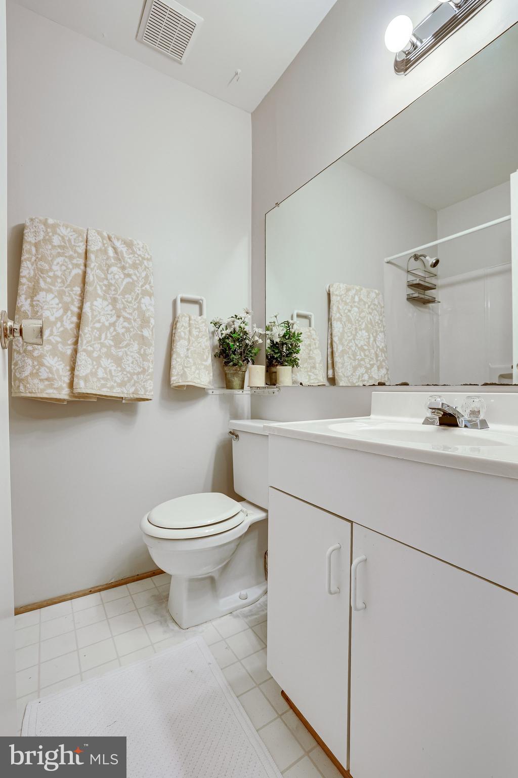 11969 Barrel Cooper Court Reston, VA 20191 - Photo 38 of 73 Lower level full bath