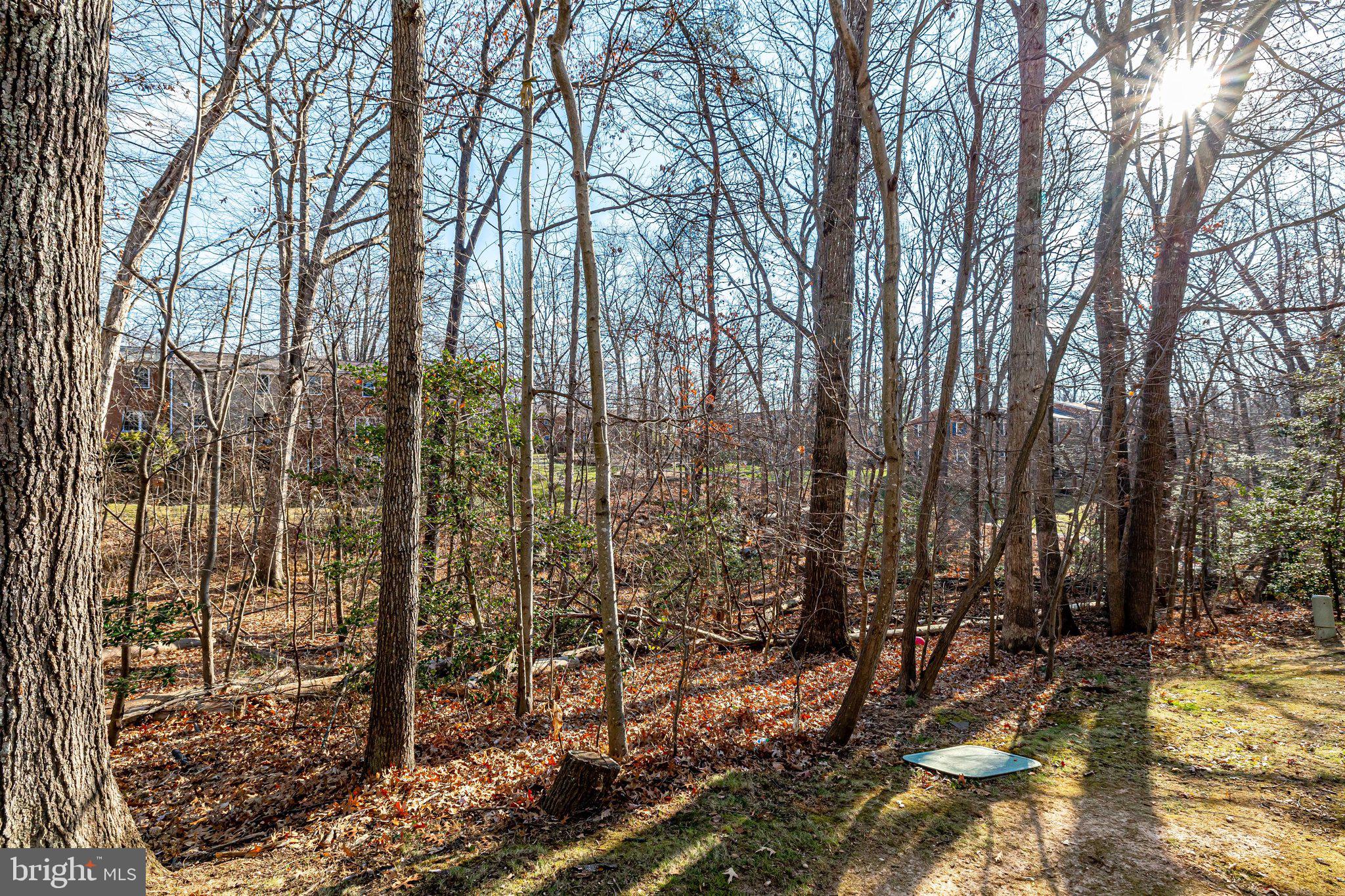 11969 Barrel Cooper Court Reston, VA 20191 - Photo 49 of 73 House backs to trees