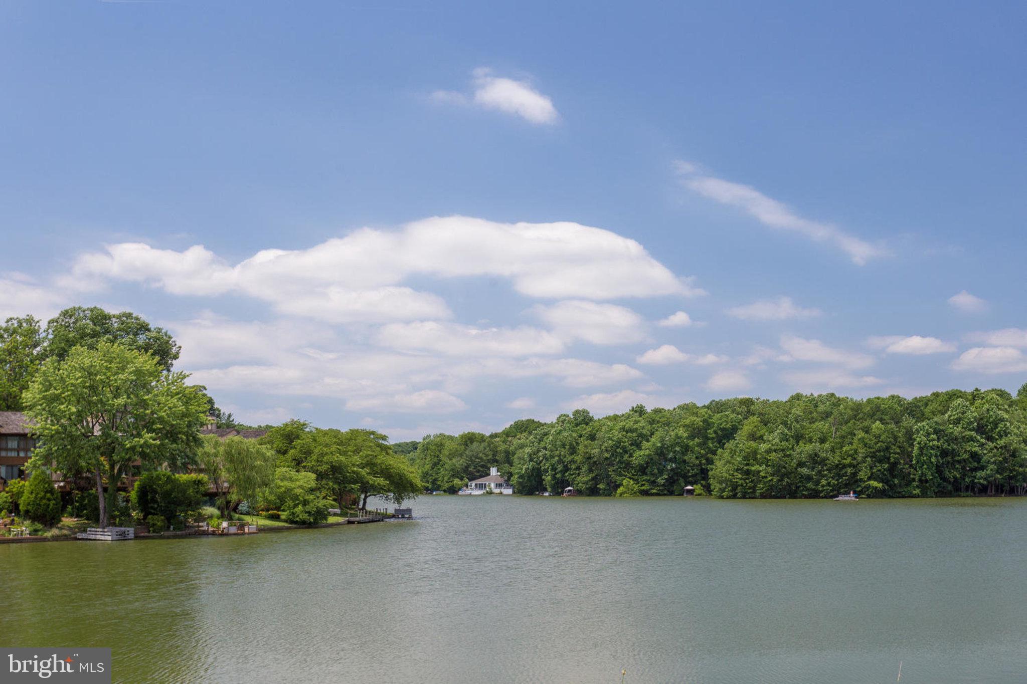 11969 Barrel Cooper Court Reston, VA 20191 - Photo 59 of 73 Community lakes