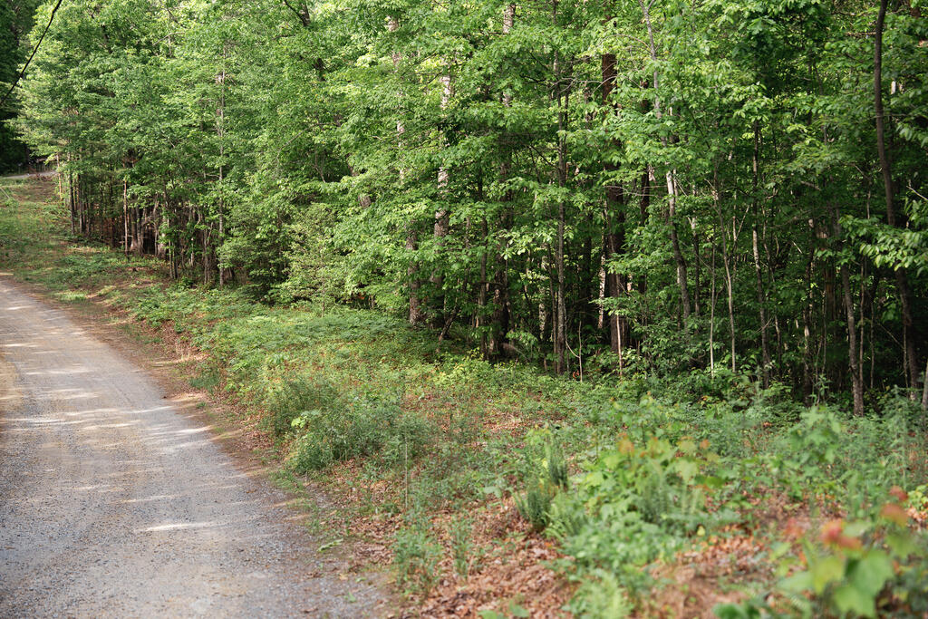 2 Century Lane Blue Ridge, GA 30513 - Photo 13 of 50 Gallery Image 13