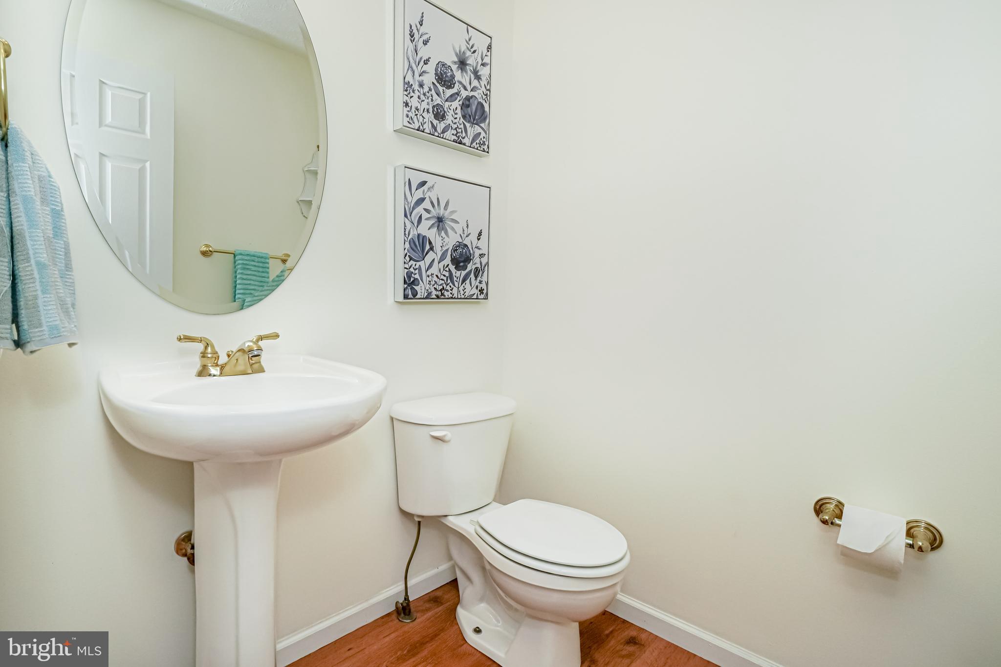 66 Jesse Boyd Circle Elkton, MD 21921 - Photo 14 of 29 Powder room on main floor