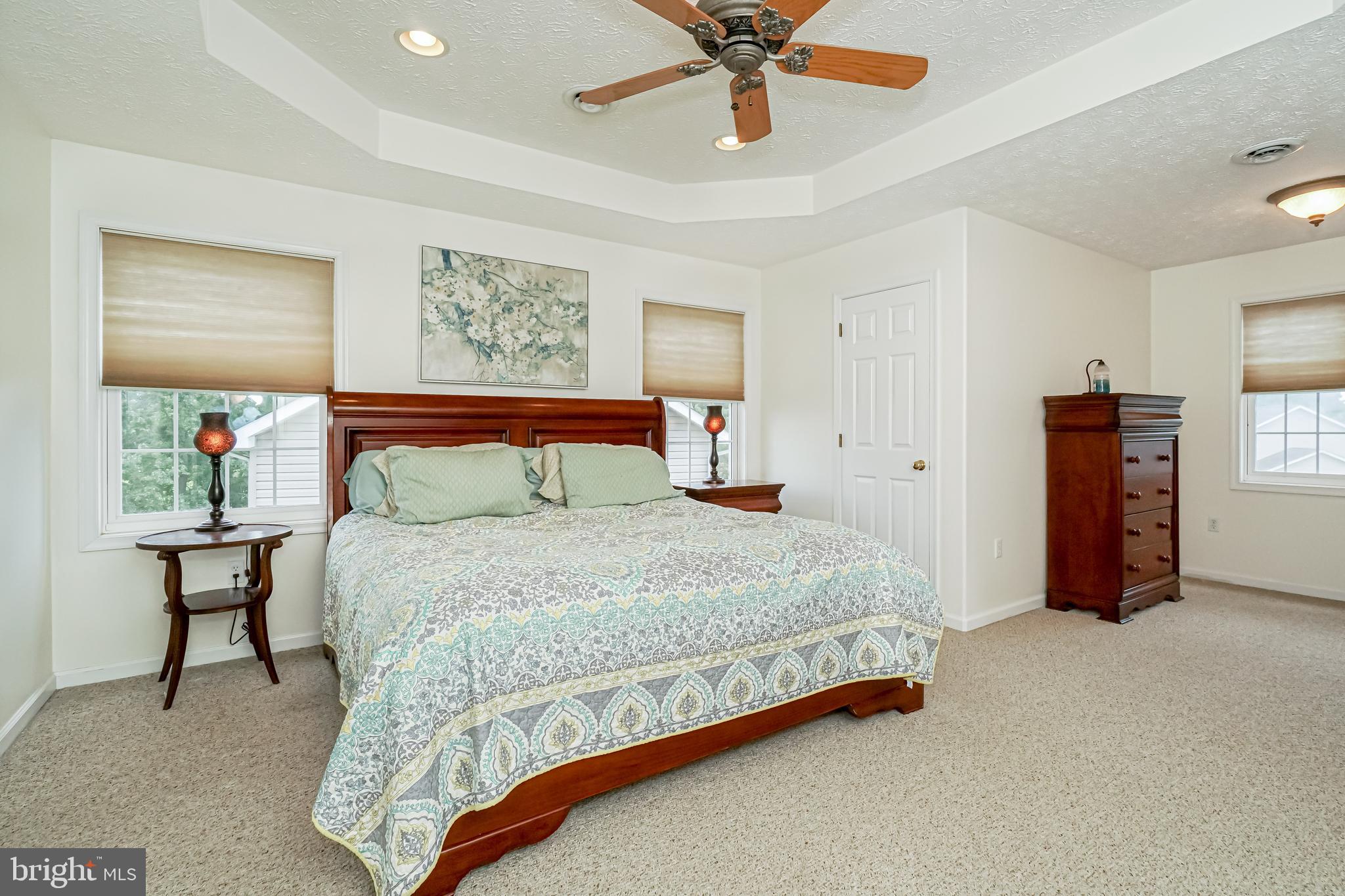 66 Jesse Boyd Circle Elkton, MD 21921 - Photo 16 of 29 Master Bedroom with tray ceiling