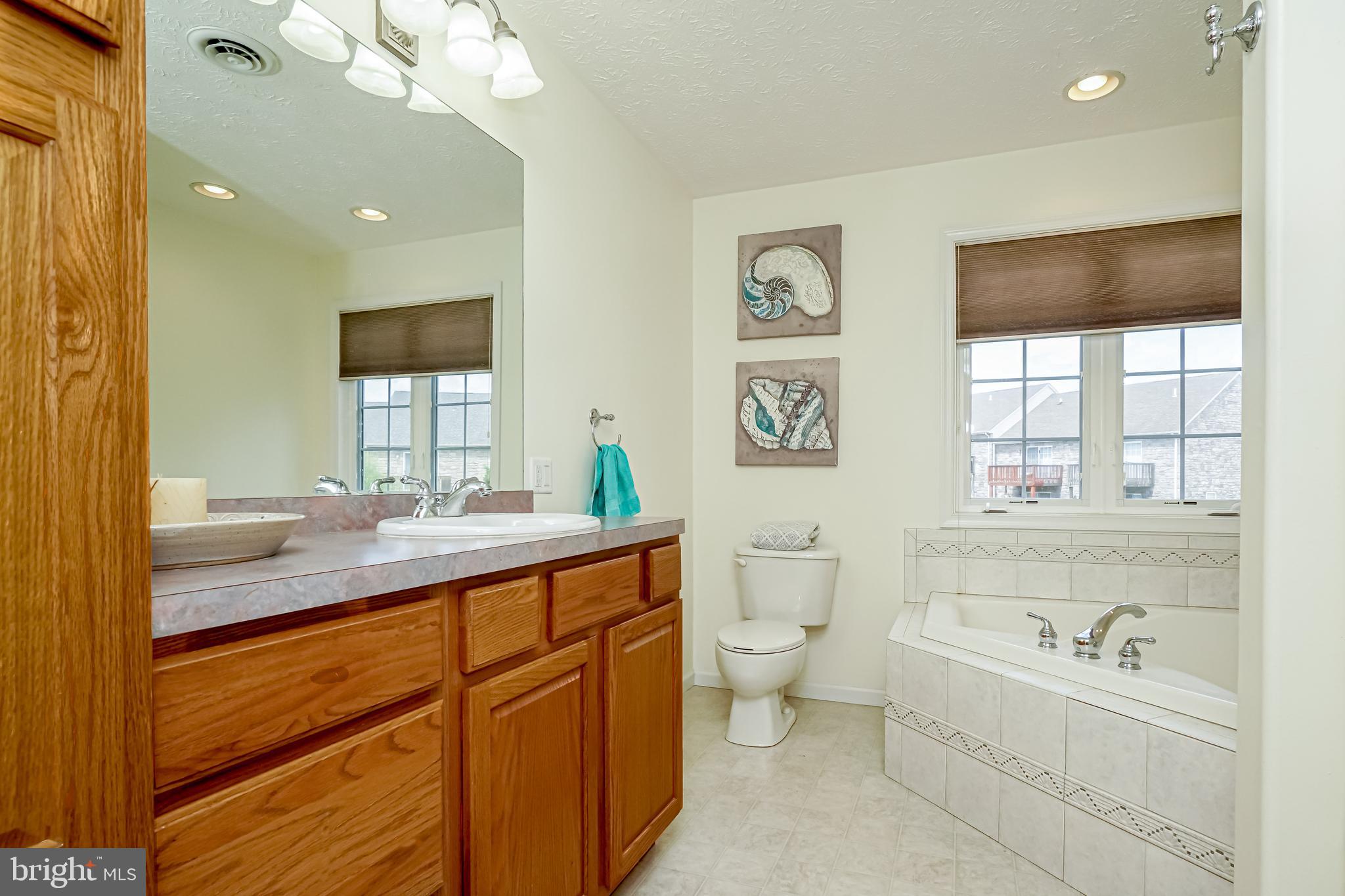 66 Jesse Boyd Circle Elkton, MD 21921 - Photo 18 of 29 Master bath with spacious vanity and storage