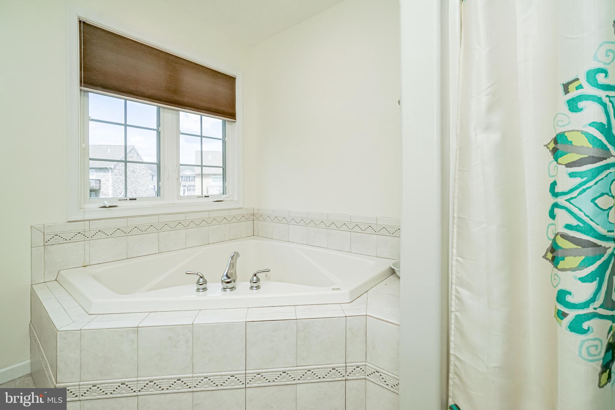 66 Jesse Boyd Circle Elkton, MD 21921 - Photo 19 of 29 Soaking tub in master bath