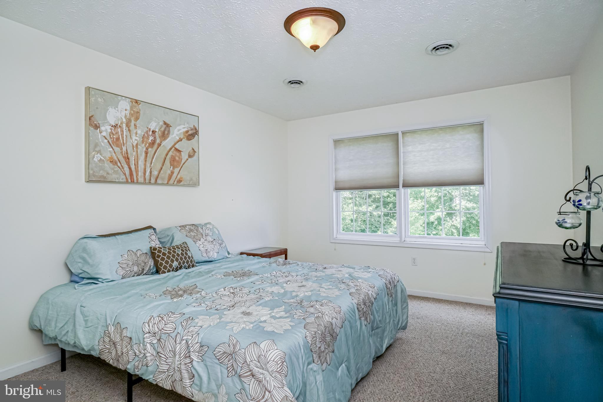 66 Jesse Boyd Circle Elkton, MD 21921 - Photo 22 of 29 Third bedroom with bright windows