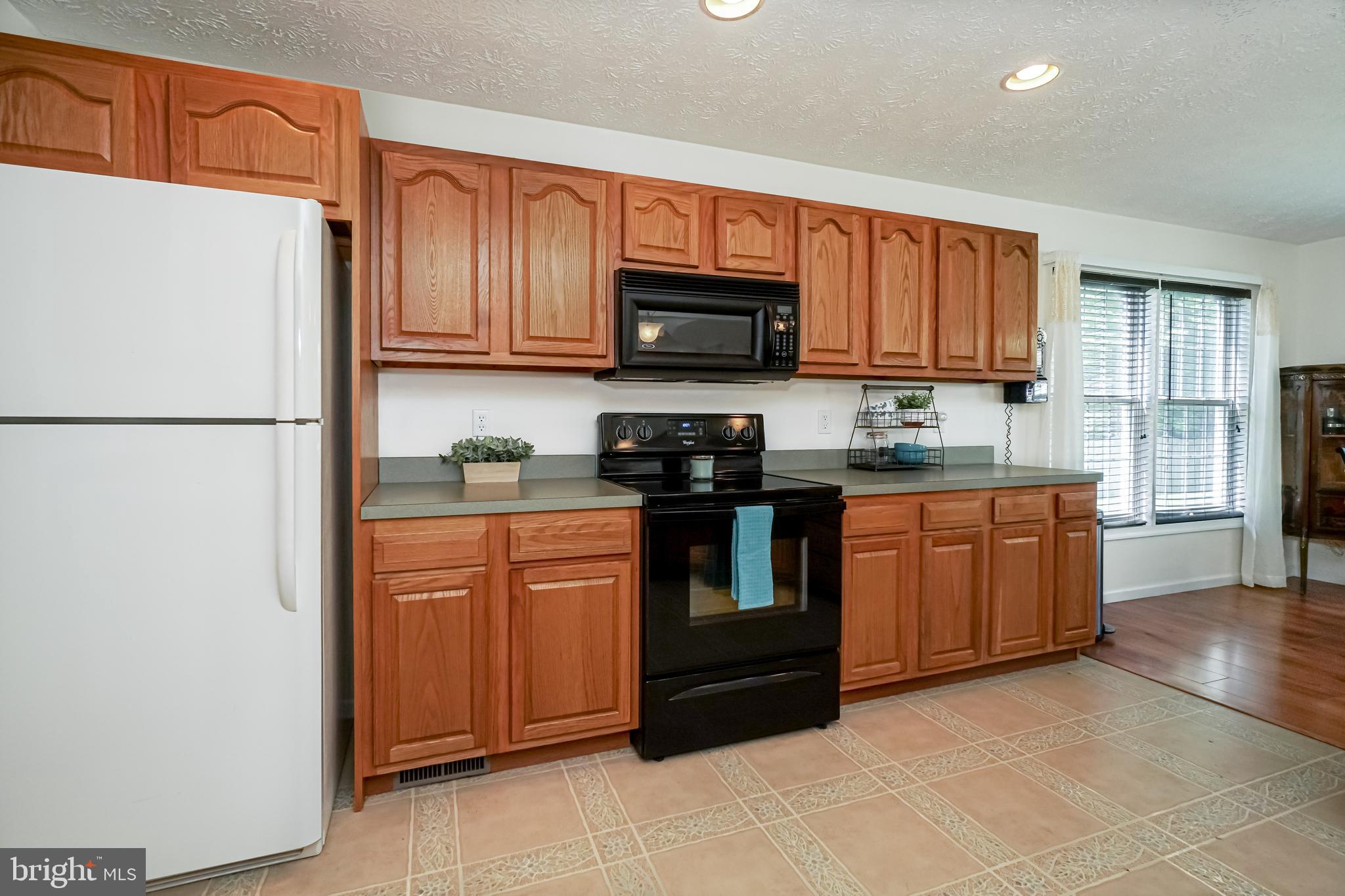 66 Jesse Boyd Circle Elkton, MD 21921 - Photo 7 of 29 Ample cabinet space in kitchen