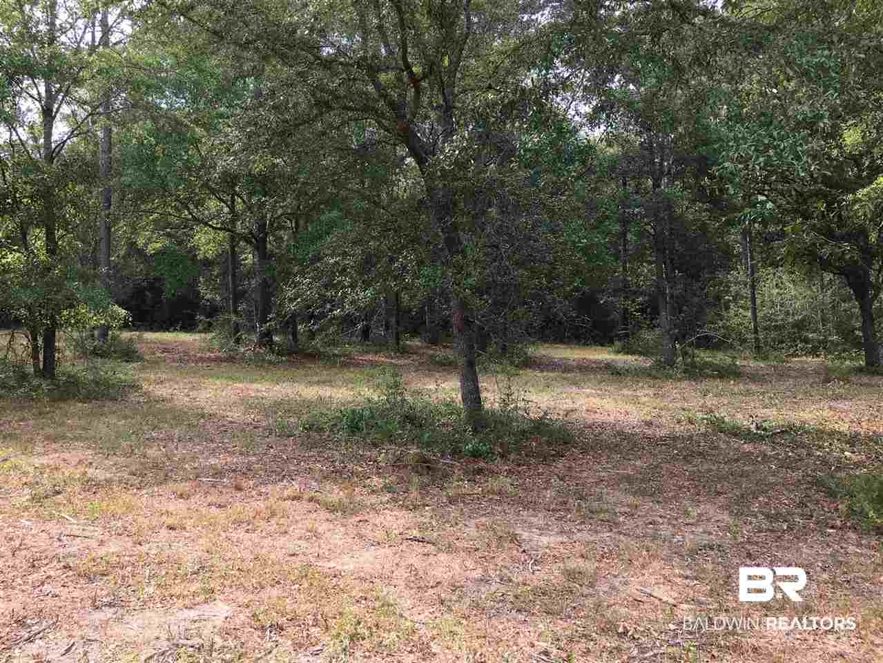 0 New Hope Church Road Robertsdale, AL 36567 - Photo 1 of 17