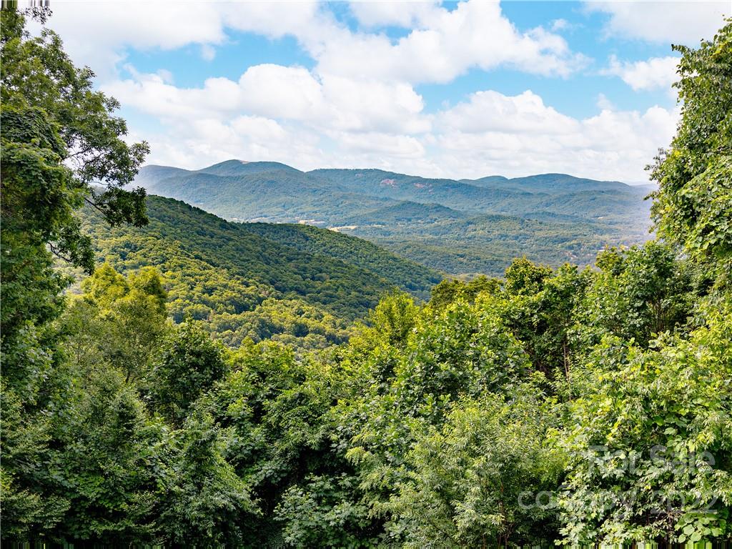 90 Hickory Forest Road Fairview, NC 28730 - Photo 31 of 35