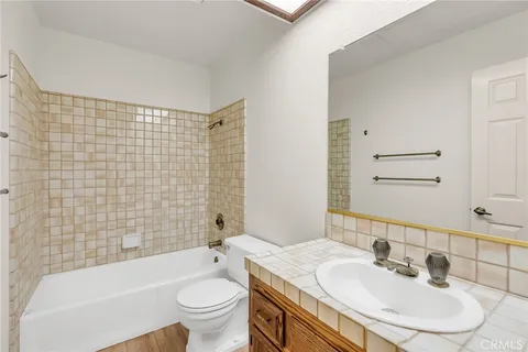 a view of a garden with plants and large trees