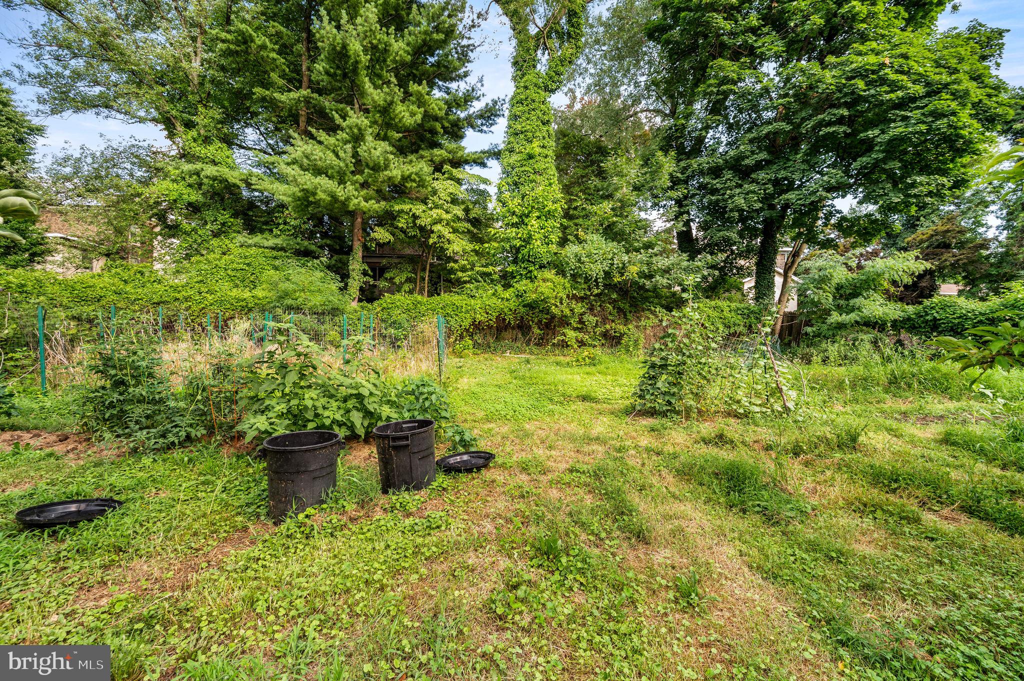 408 East Woodlawn Street Philadelphia, PA 19144 - Photo 29 of 31 a view of a garden with plants