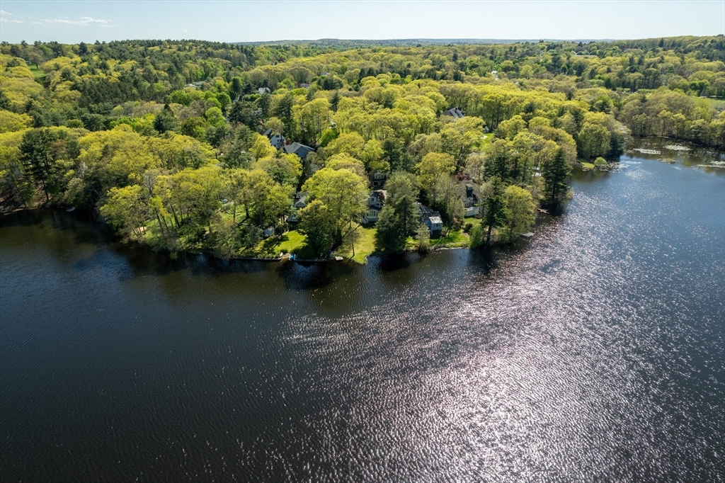 31 College Road Wellesley, MA 02482 - Photo 4 of 36