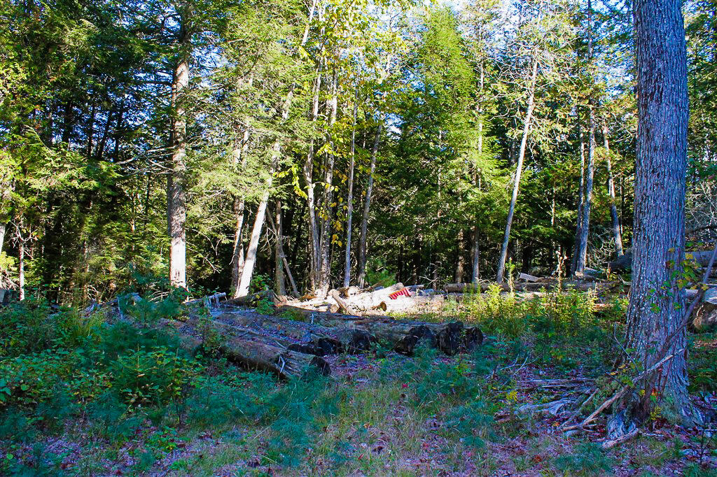 0 Smith Road Ellsworth, ME 04605 - Photo 16 of 17 IMG_8838-2