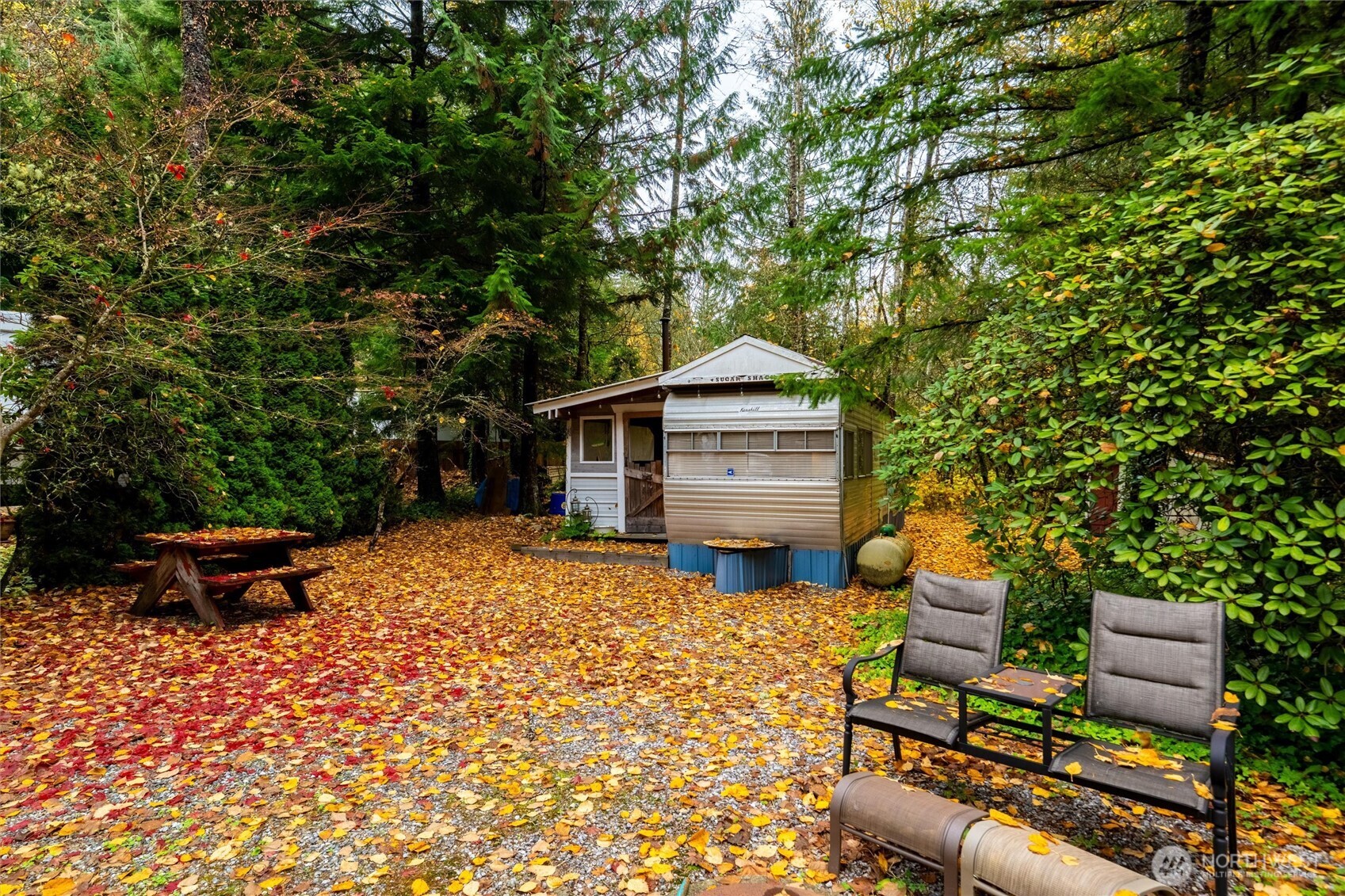 1017 Maple Lane Maple Falls, WA 98266 - Photo 2 of 11