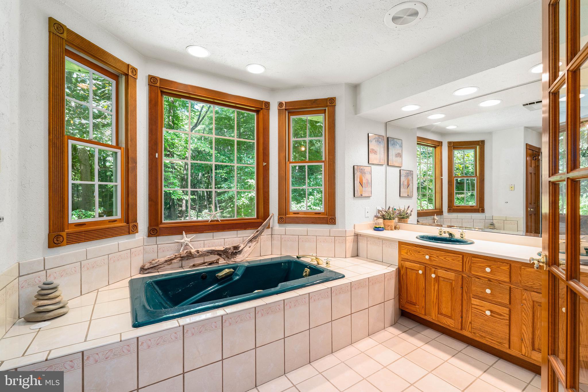 65 Calvary Road Elkton, MD 21921 - Photo 24 of 52 Primary Bath