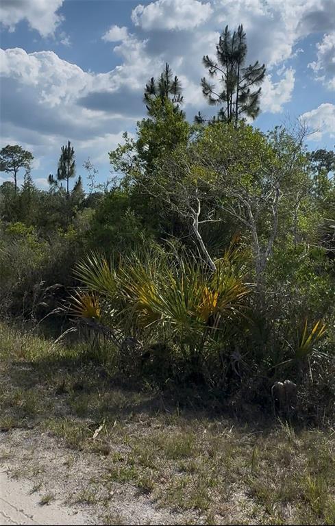 18455 Quiet Road Weeki Wachee, FL 34614 - Photo 8 of 9 a view of a yard