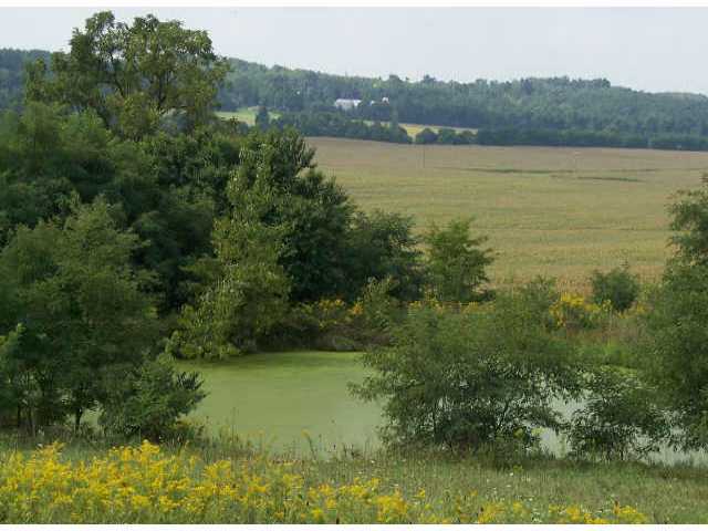 0 Johnson Road, Unit LOT 7 Cable, OH 43060 - Photo 1 of 9