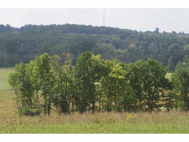 0 Johnson Road, Unit LOT 7 Cable, OH 43060 - Photo 8 of 9